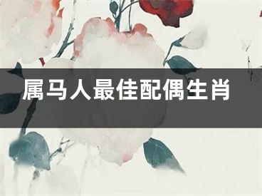 属马人最佳配偶生肖