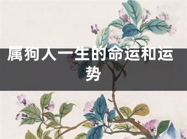 属狗人一生的命运和运势