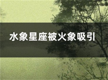 水象星座被火象吸引