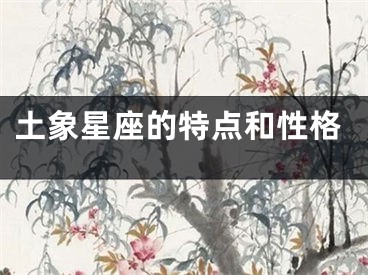 土象星座的特点和性格