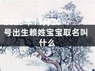 2025年11月20号出生赖姓宝宝取名叫什么