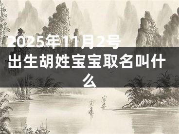 2025年11月2号出生胡姓宝宝取名叫什么