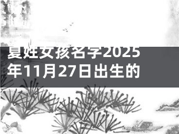 夏姓女孩名字2025年11月27日出生的
