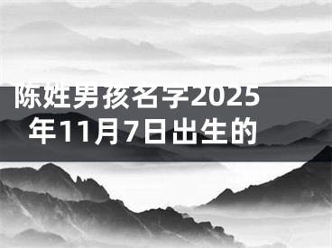 陈姓男孩名字2025年11月7日出生的