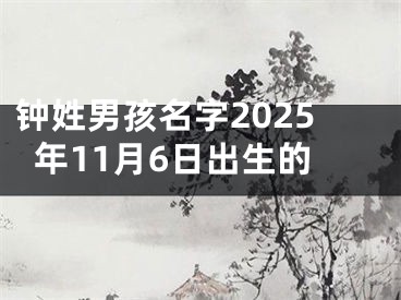 钟姓男孩名字2025年11月6日出生的