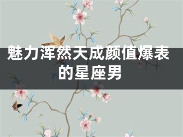 魅力浑然天成颜值爆表的星座男