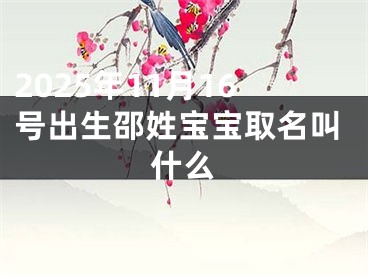 2025年11月16号出生邵姓宝宝取名叫什么