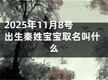 2025年11月8号出生秦姓宝宝取名叫什么