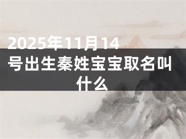 2025年11月14号出生秦姓宝宝取名叫什么