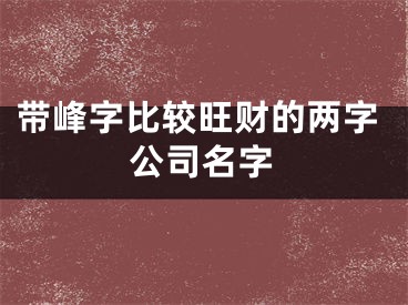 带峰字比较旺财的两字公司名字