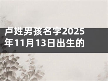 卢姓男孩名字2025年11月13日出生的