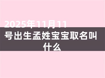 2025年11月11号出生孟姓宝宝取名叫什么