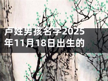 卢姓男孩名字2025年11月18日出生的