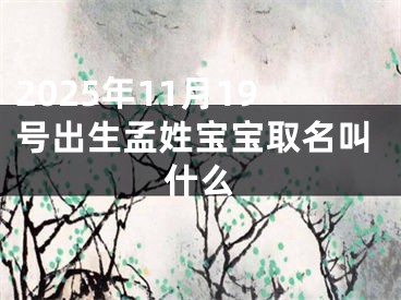 2025年11月19号出生孟姓宝宝取名叫什么