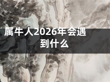 属牛人2026年会遇到什么