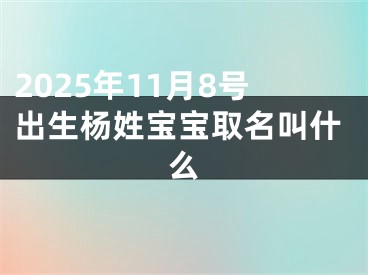 2025年11月8号出生杨姓宝宝取名叫什么