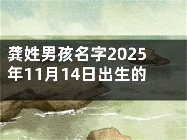 龚姓男孩名字2025年11月14日出生的