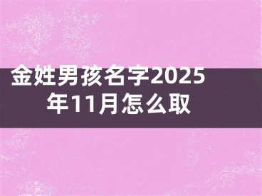 金姓男孩名字2025年11月怎么取