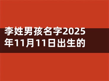 李姓男孩名字2025年11月11日出生的