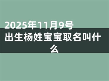 2025年11月9号出生杨姓宝宝取名叫什么
