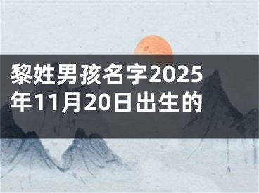 黎姓男孩名字2025年11月20日出生的