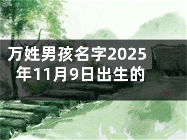 万姓男孩名字2025年11月9日出生的