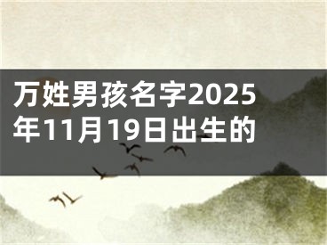 万姓男孩名字2025年11月19日出生的