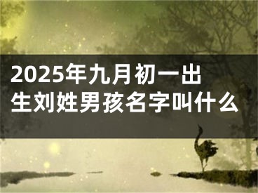 2025年九月初一出生刘姓男孩名字叫什么