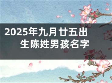 2025年九月廿五出生陈姓男孩名字