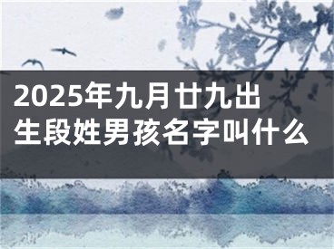 2025年九月廿九出生段姓男孩名字叫什么