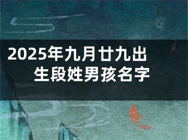 2025年九月廿九出生段姓男孩名字