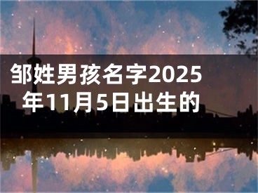 邹姓男孩名字2025年11月5日出生的