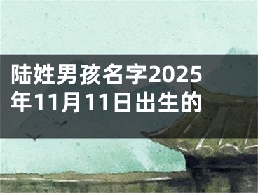 陆姓男孩名字2025年11月11日出生的