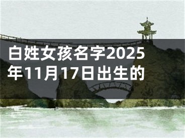 白姓女孩名字2025年11月17日出生的