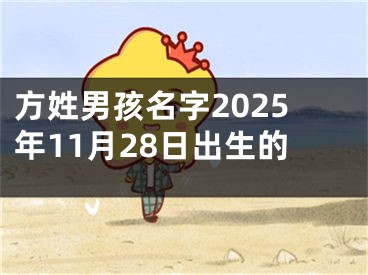 方姓男孩名字2025年11月28日出生的