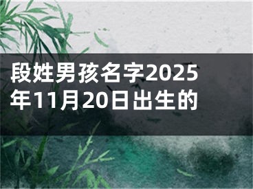 段姓男孩名字2025年11月20日出生的