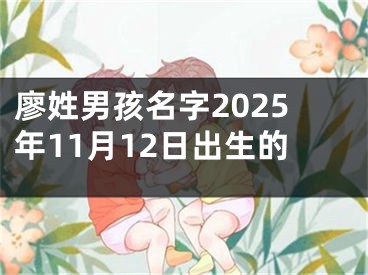 廖姓男孩名字2025年11月12日出生的