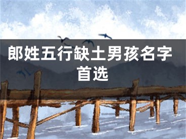 郎姓五行缺土男孩名字首选