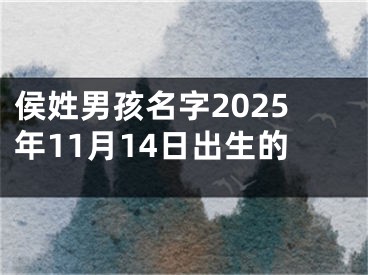 侯姓男孩名字2025年11月14日出生的