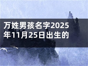 万姓男孩名字2025年11月25日出生的