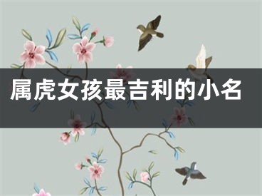 属虎女孩最吉利的小名