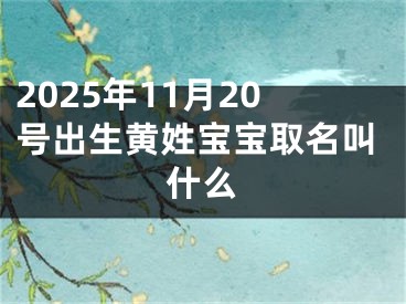 2025年11月20号出生黄姓宝宝取名叫什么