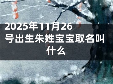 2025年11月26号出生朱姓宝宝取名叫什么