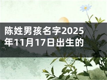 陈姓男孩名字2025年11月17日出生的
