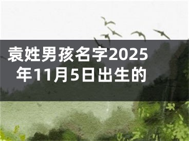 袁姓男孩名字2025年11月5日出生的