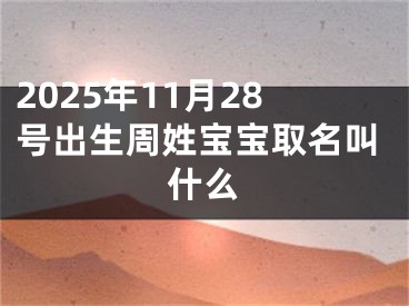 2025年11月28号出生周姓宝宝取名叫什么