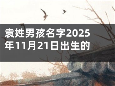 袁姓男孩名字2025年11月21日出生的