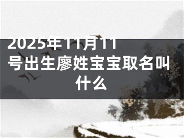 2025年11月11号出生廖姓宝宝取名叫什么
