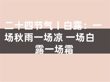 二十四节气丨白露：一场秋雨一场凉 一场白露一场霜