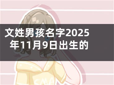 文姓男孩名字2025年11月9日出生的